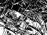 Spiderweb.jpg image by Millenium-Panda