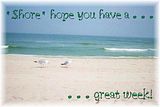 greatweek.jpg image by courage2bme