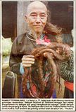 rambut.jpg image by aedca